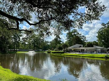 Peaceful duck pond